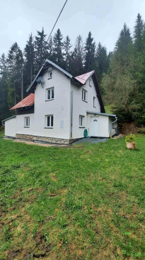 Villa Dum U Lesa - Nové Hamry Exterior foto