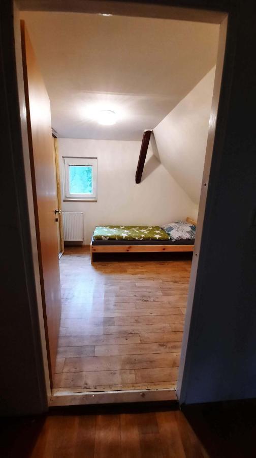 Villa Dum U Lesa - Nové Hamry Exterior foto