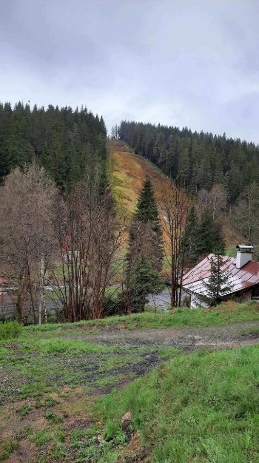 Villa Dum U Lesa - Nové Hamry Exterior foto